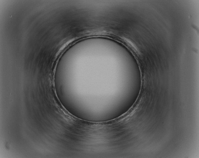 X0000091891212200709051038