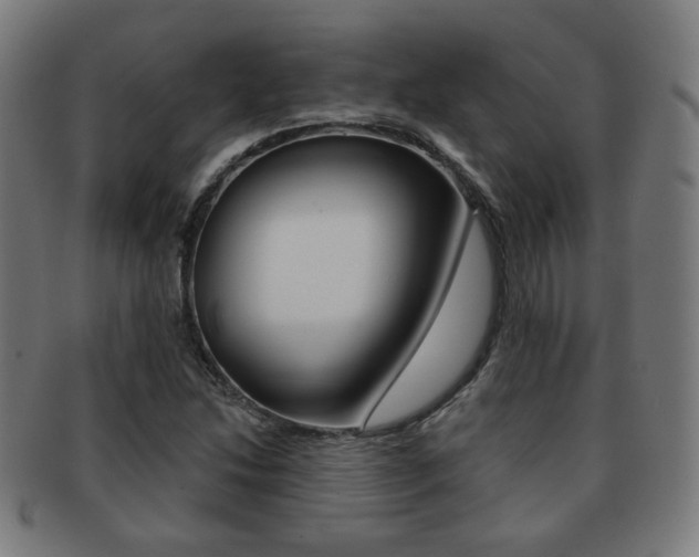 X0000091891214200709051038