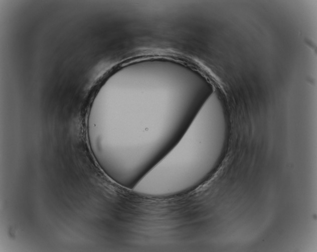 X0000091891215200709051038