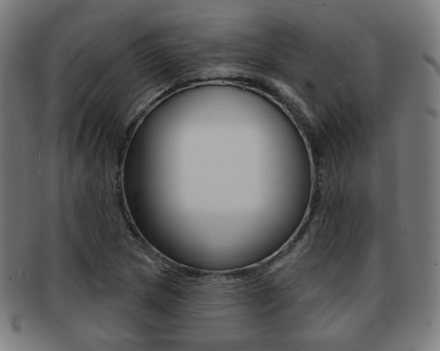 X0000091891217200709051038