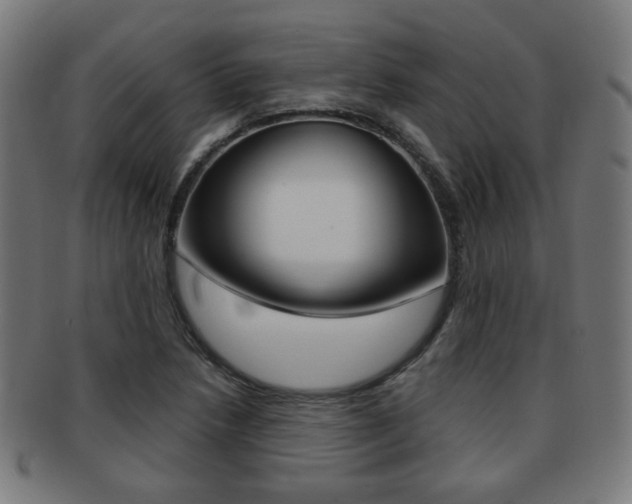 X0000091891218200709051038