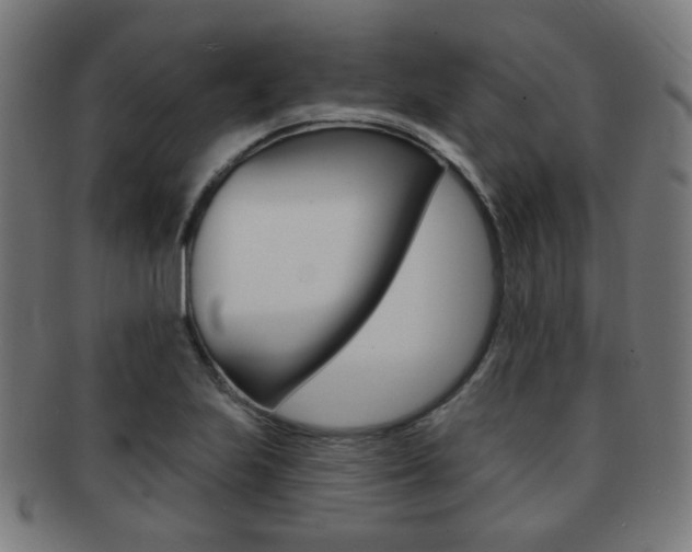 X0000091891223200709051038