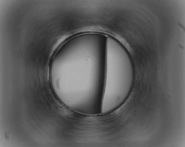 X0000091891224200709051038