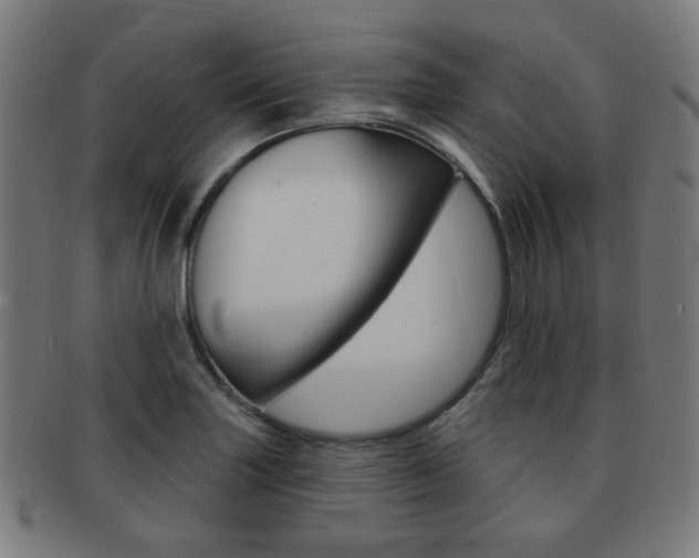 X0000091891227200709051038