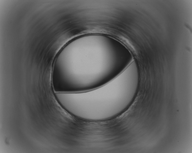 X0000091891228200709051038