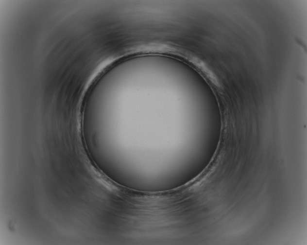 X0000091891232200709051038