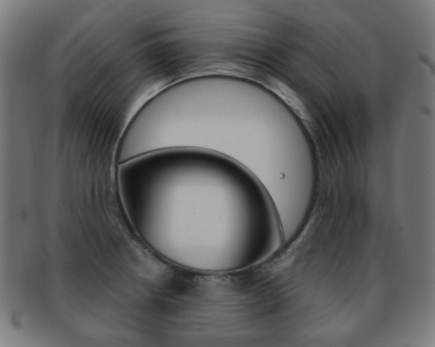 X0000091891234200709051038