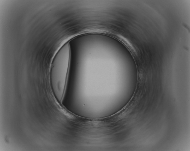 X0000091891236200709051038