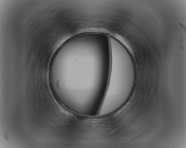 X0000091891237200709051038