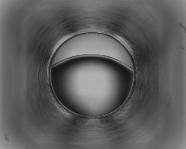 X0000091891238200709051038