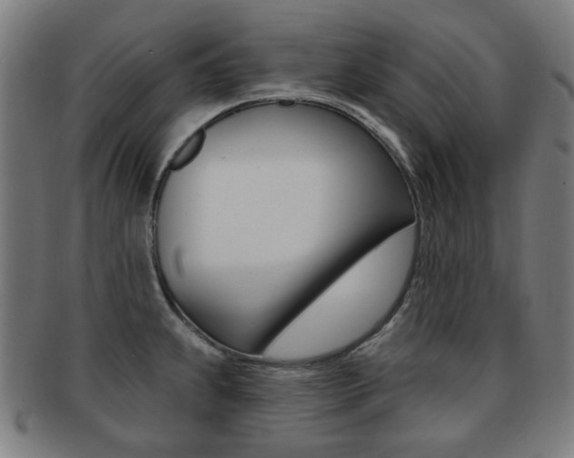 X0000091891239200709051038