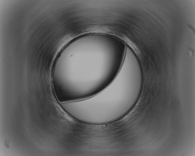 X0000091891240200709051038