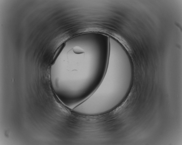 X0000091891241200709051038