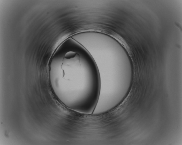 X0000091891242200709051038