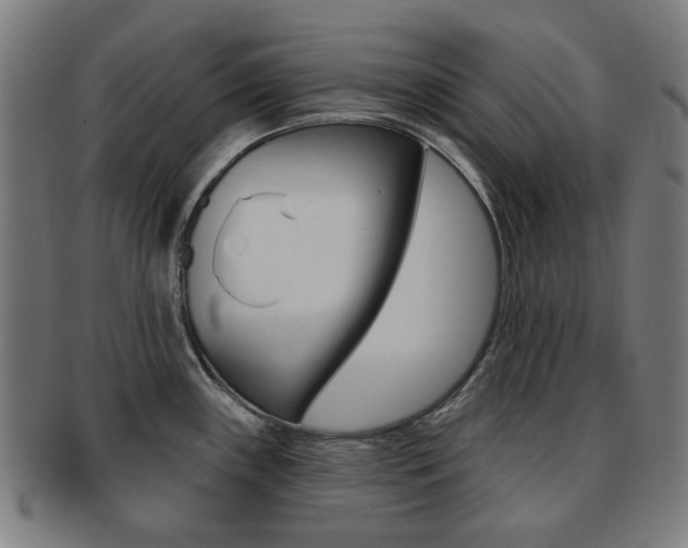 X0000091891243200709051038