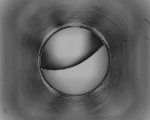 X0000091891245200709051038