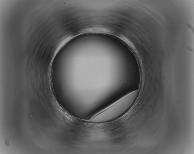 X0000091891248200709051039