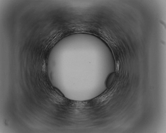 X0000091891251200709051038