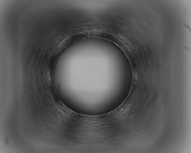 X0000091891252200709051038