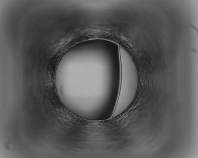 X0000091891253200709051038