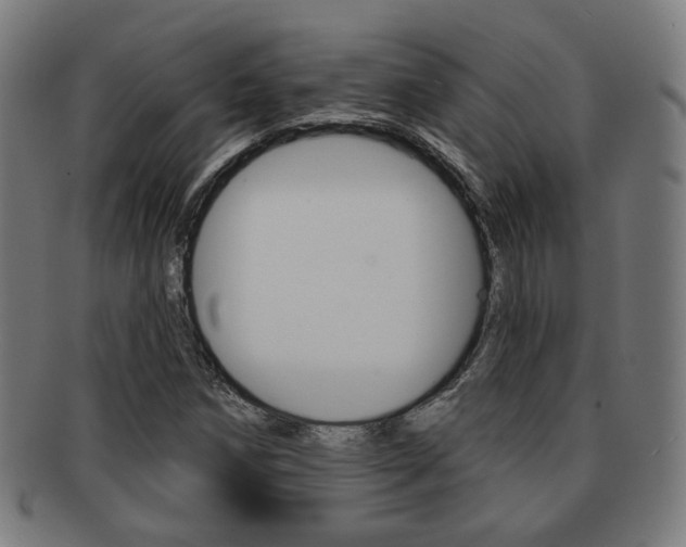 X0000091891258200709051038