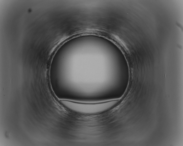 X0000091891260200709051038