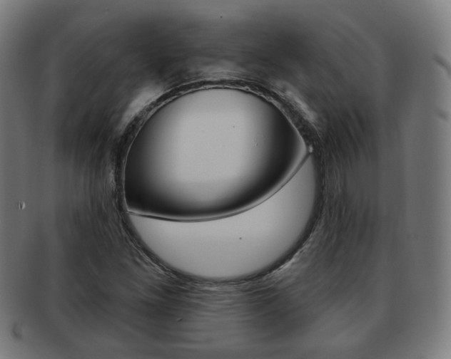 X0000091891261200709051038