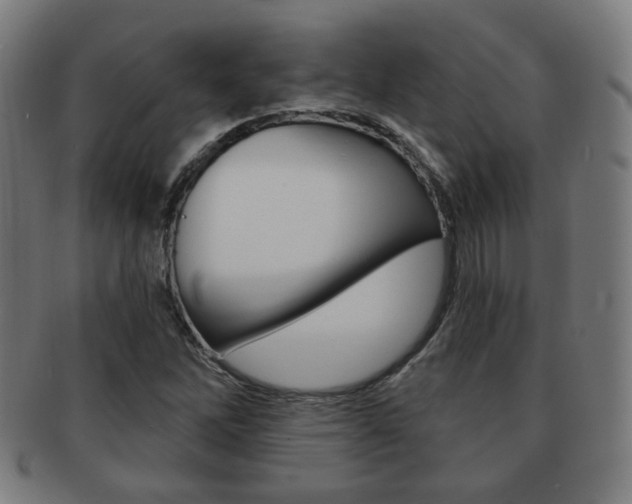 X0000091891262200709051038