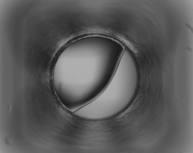 X0000091891264200709051038