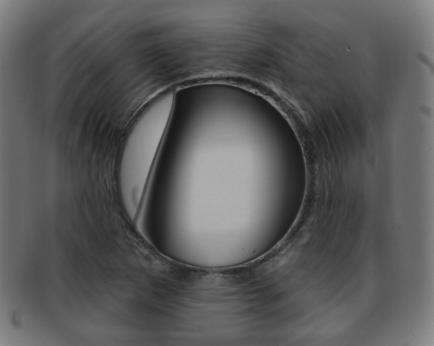 X0000091891265200709051038