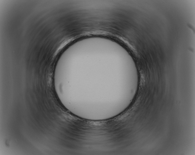 X0000091891266200709051038