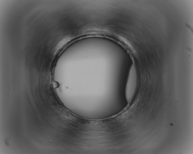 X0000091891267200709051038