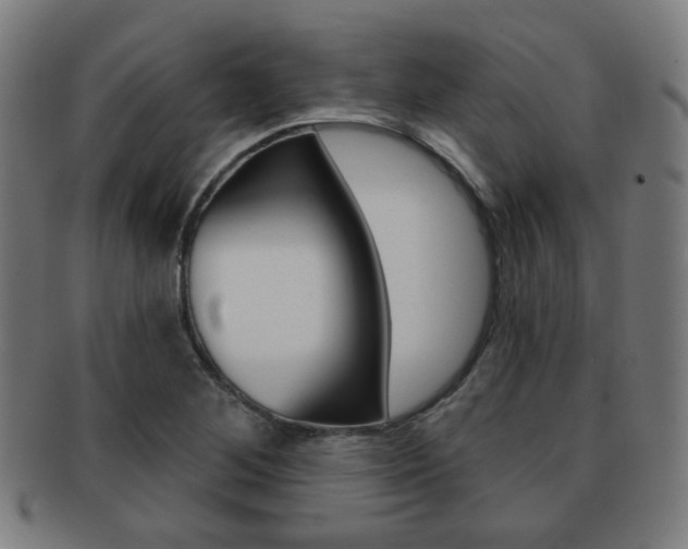 X0000091891268200709051038