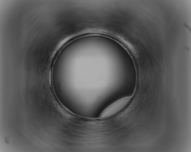 X0000091891272200709051038