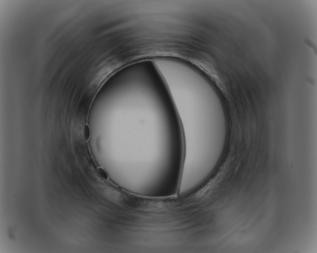X0000091891273200709051038