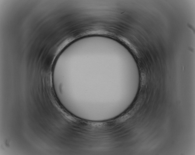 X0000091891274200709051038