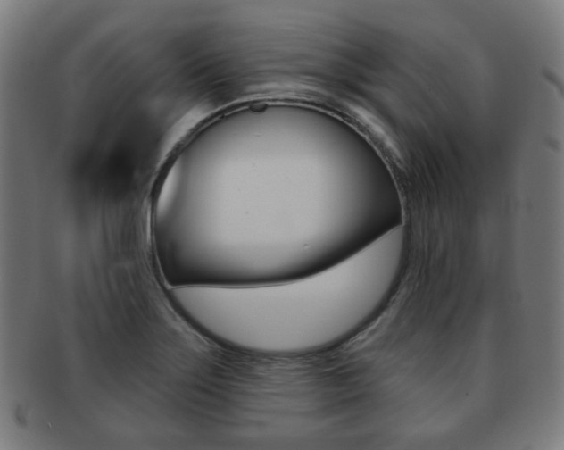 X0000091891275200709051038