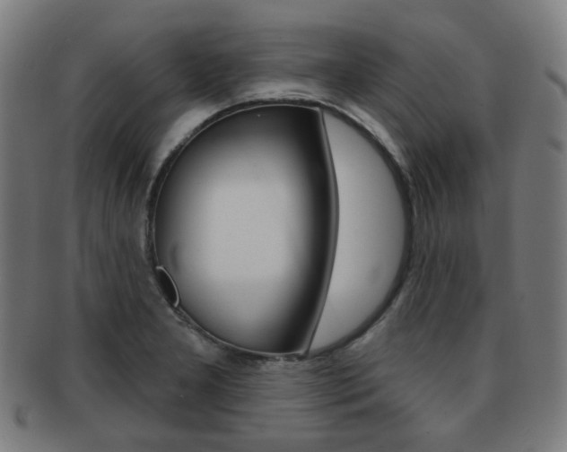 X0000091891277200709051038