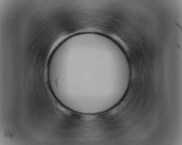 X0000091891278200709051038