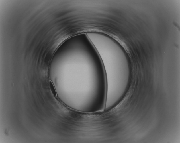 X0000091891281200709051038