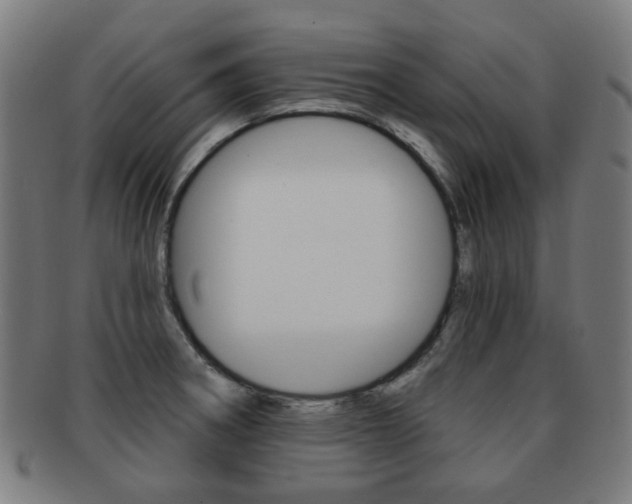 X0000091891282200709051038