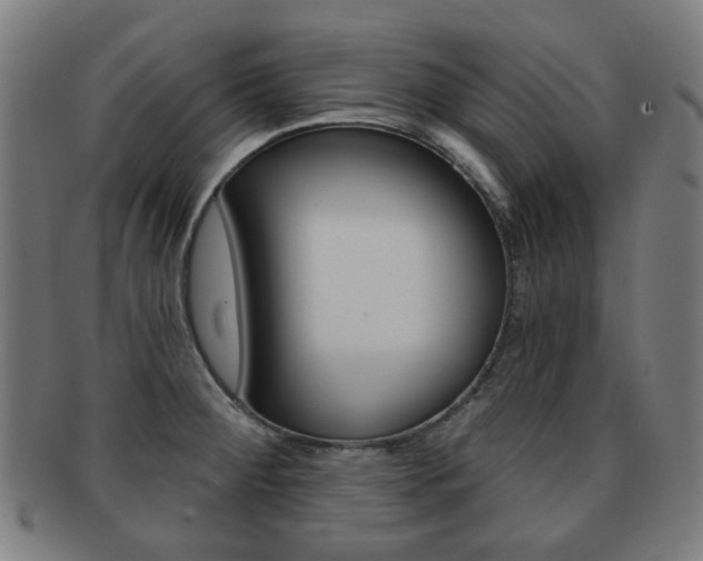 X0000091891284200709051038