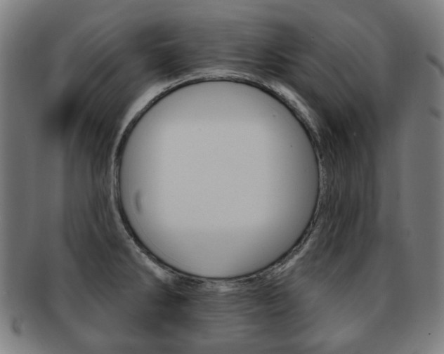 X0000091891286200709051038