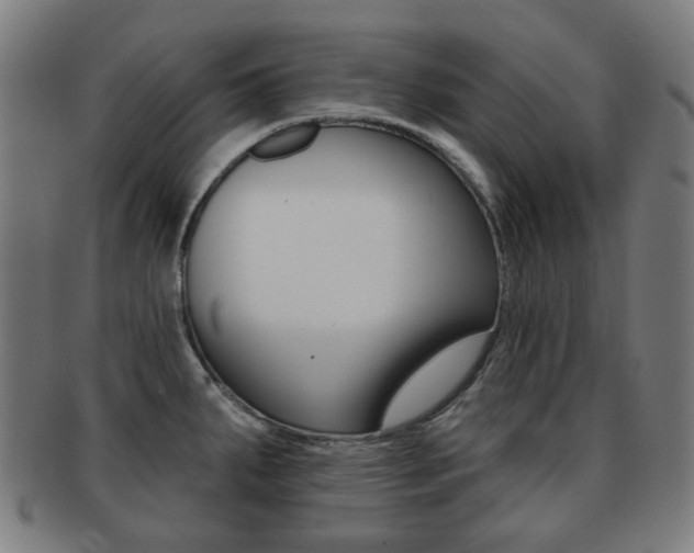 X0000091891287200709051037