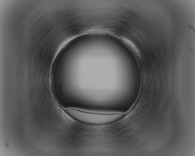 X0000091891288200709051037