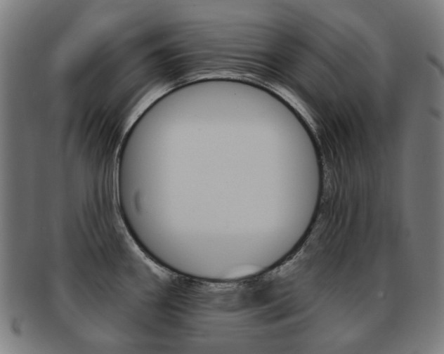 X0000091891290200709051037