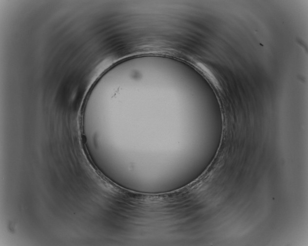 X0000091891291200709051037