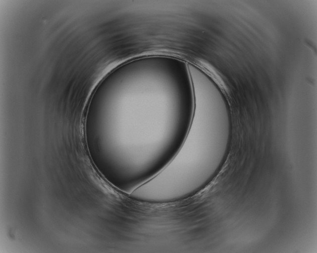X0000091891292200709051037