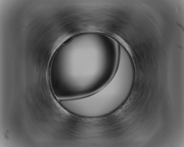 X0000091891293200709051037