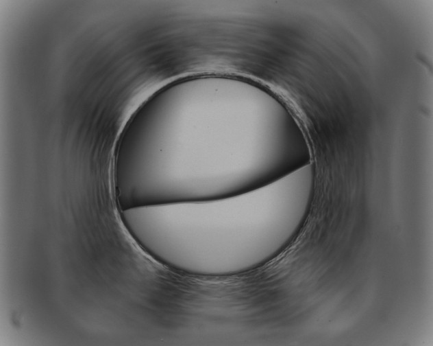 X0000091891295200709051037